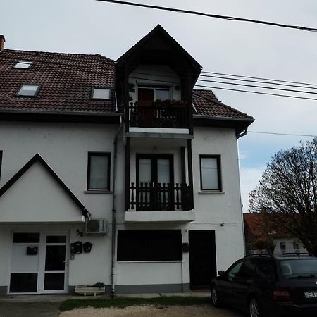 Arany Sziget Apartman Siofok Luaran gambar